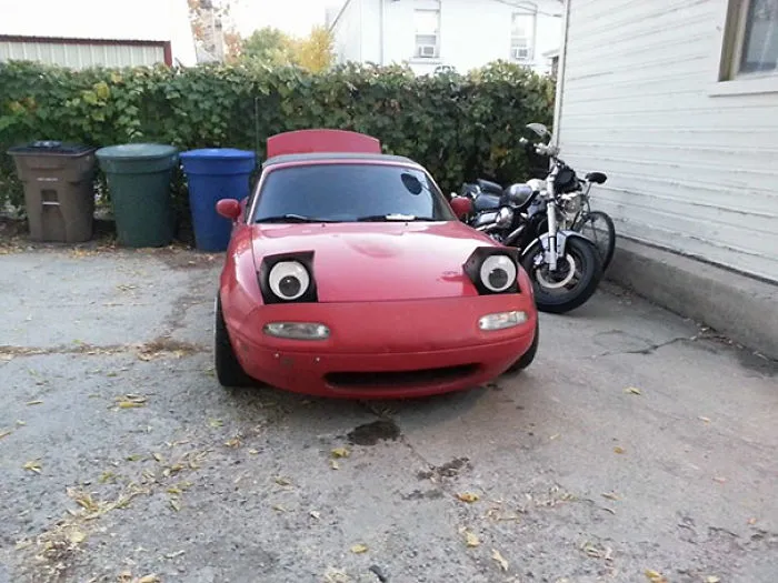 Giant Googley Eyes. The Best Drunk Online Purchase I Have Made Yet