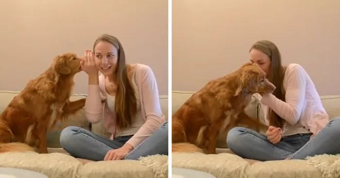 Gossiping With A Dog