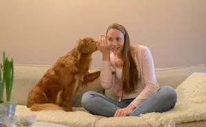 Gossiping With A Dog