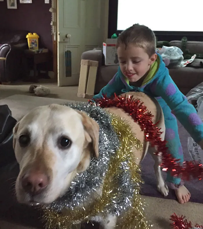 My Nephew Decorating The Dog