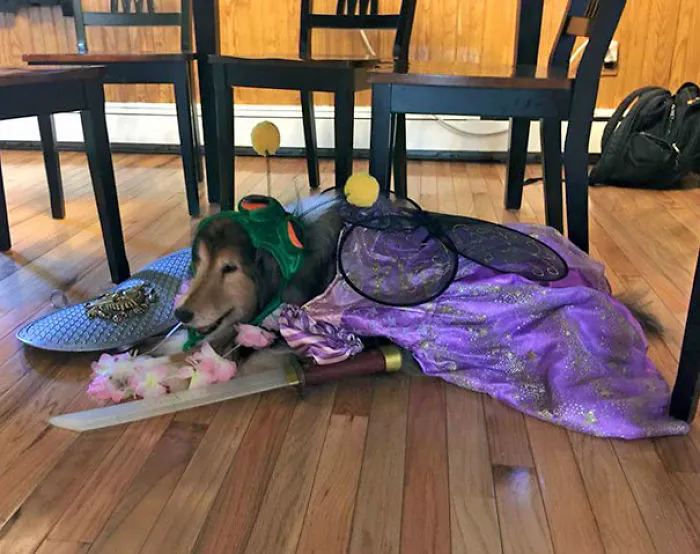 My Cousin's 3 Kids Helped Take Care Of My 13-Year-Old Dog While I Was On Vacation