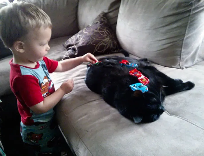 When It Comes To My Son, My Cat Is Such A Good Sport