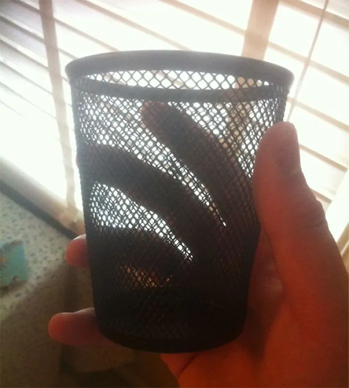 Me voy lejos a la universidad. Mi madre me ha dado esto y dice que es el único vaso en el que puedo beber alcohol
