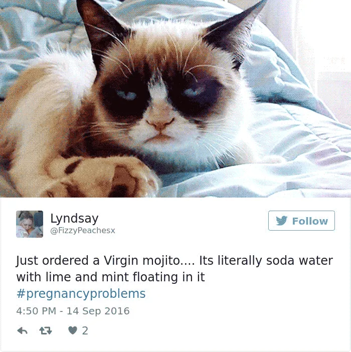105 Tweets About Pregnancy That Will Make You Laugh And Cry