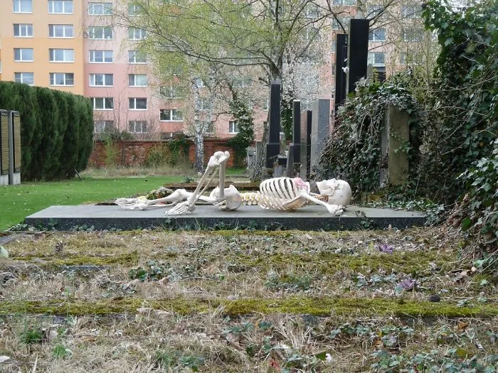 The Grave Relax
