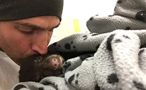 This Guy Risked Jail Time To Rescue A Dying Baby Bear He Found On A Hike