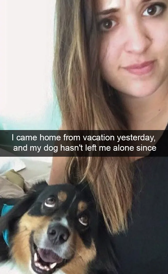 166 Hilarious Dog Snapchats That Are Impawsible Not To Laugh At (Part 2)