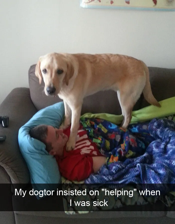 166 Hilarious Dog Snapchats That Are Impawsible Not To Laugh At (Part 2)