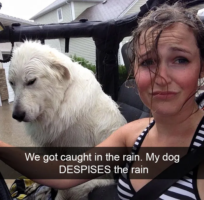 166 Hilarious Dog Snapchats That Are Impawsible Not To Laugh At (Part 2)