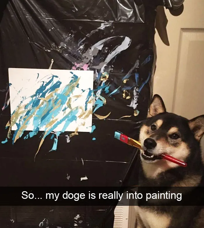 166 Hilarious Dog Snapchats That Are Impawsible Not To Laugh At (Part 2)