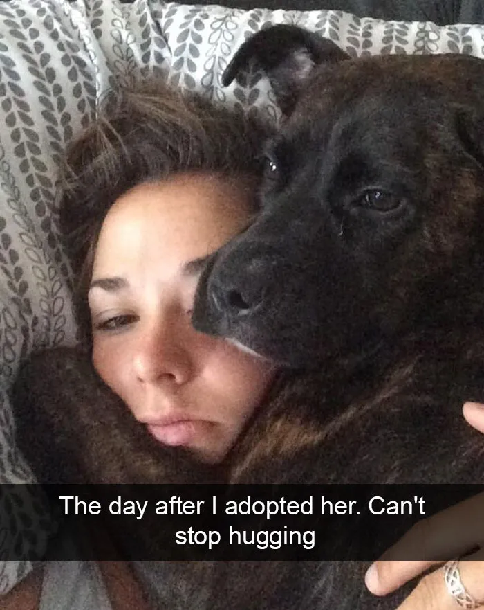 166 Hilarious Dog Snapchats That Are Impawsible Not To Laugh At (Part 2)