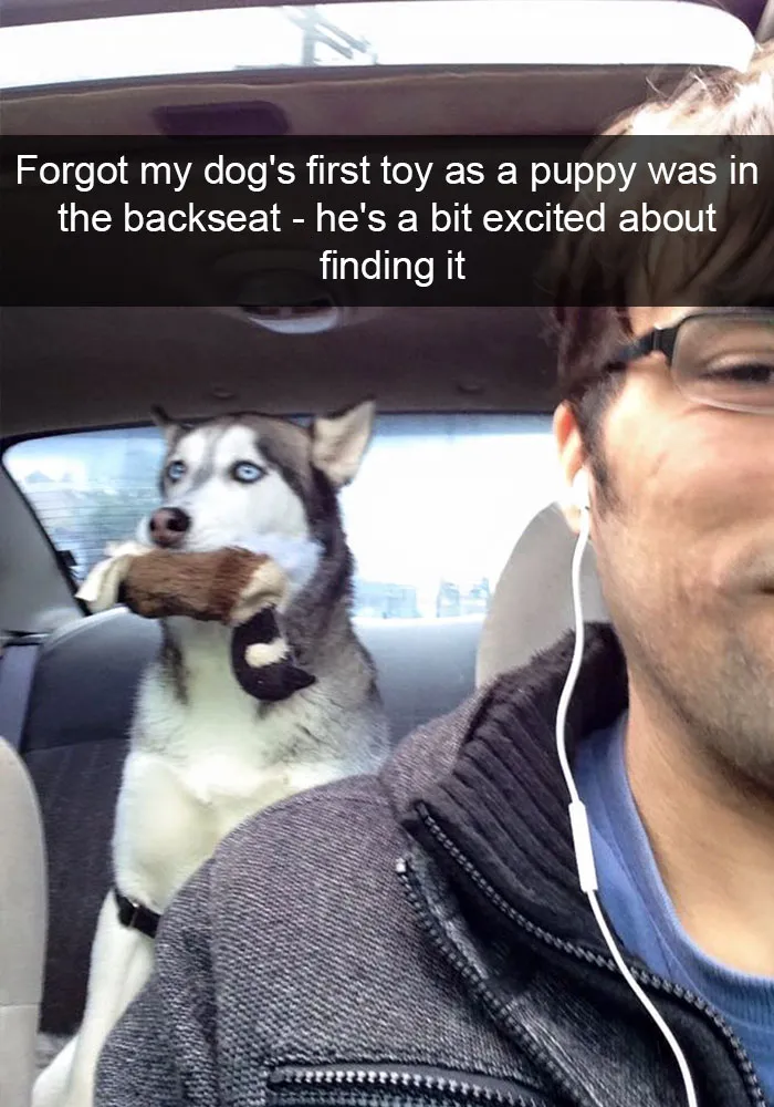 166 Hilarious Dog Snapchats That Are Impawsible Not To Laugh At (Part 2)