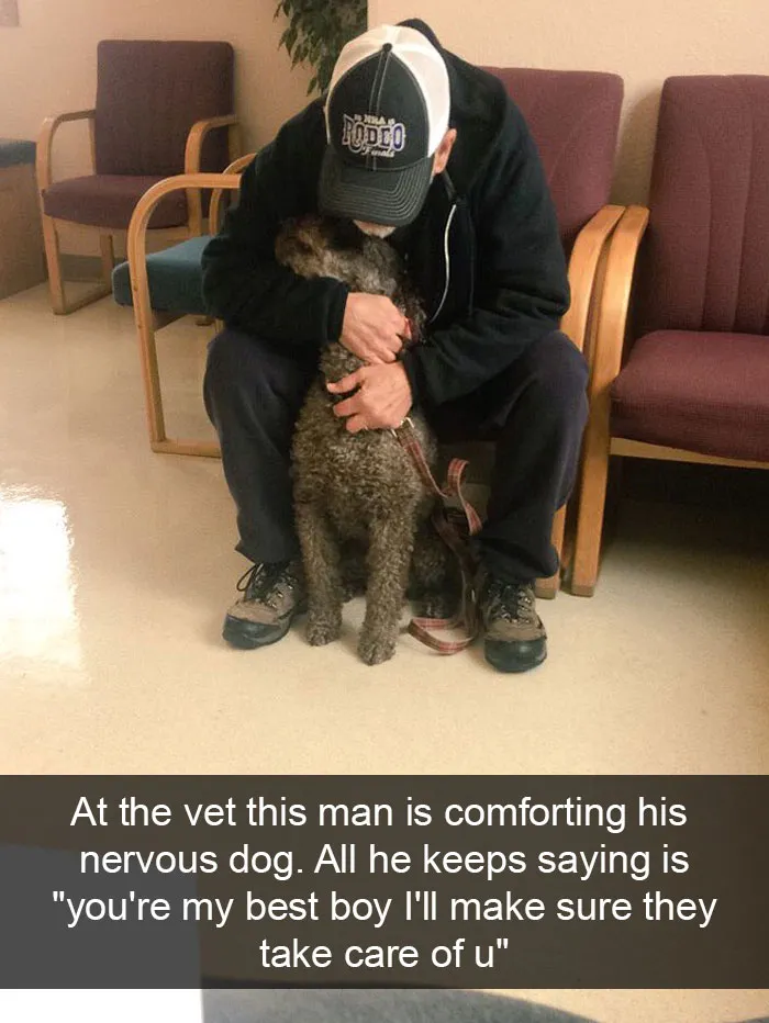 166 Hilarious Dog Snapchats That Are Impawsible Not To Laugh At (Part 2)