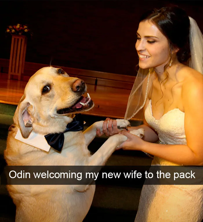 166 Hilarious Dog Snapchats That Are Impawsible Not To Laugh At (Part 2)