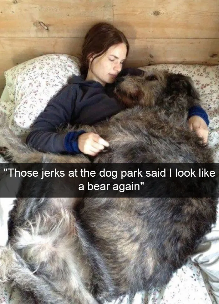 166 Hilarious Dog Snapchats That Are Impawsible Not To Laugh At (Part 2)
