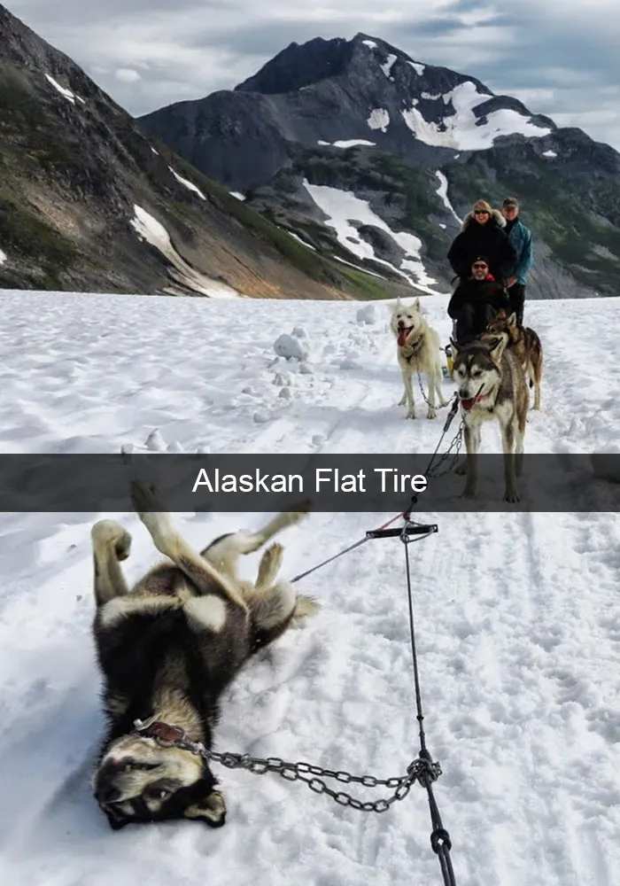 166 Hilarious Dog Snapchats That Are Impawsible Not To Laugh At (Part 2)