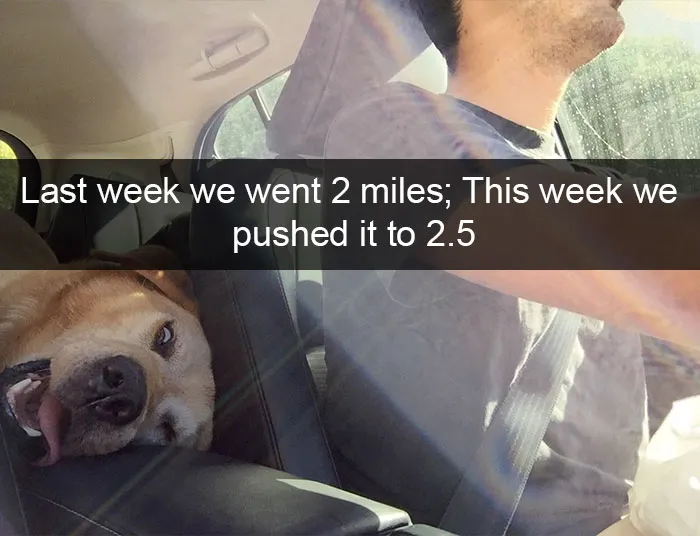 166 Hilarious Dog Snapchats That Are Impawsible Not To Laugh At (Part 2)