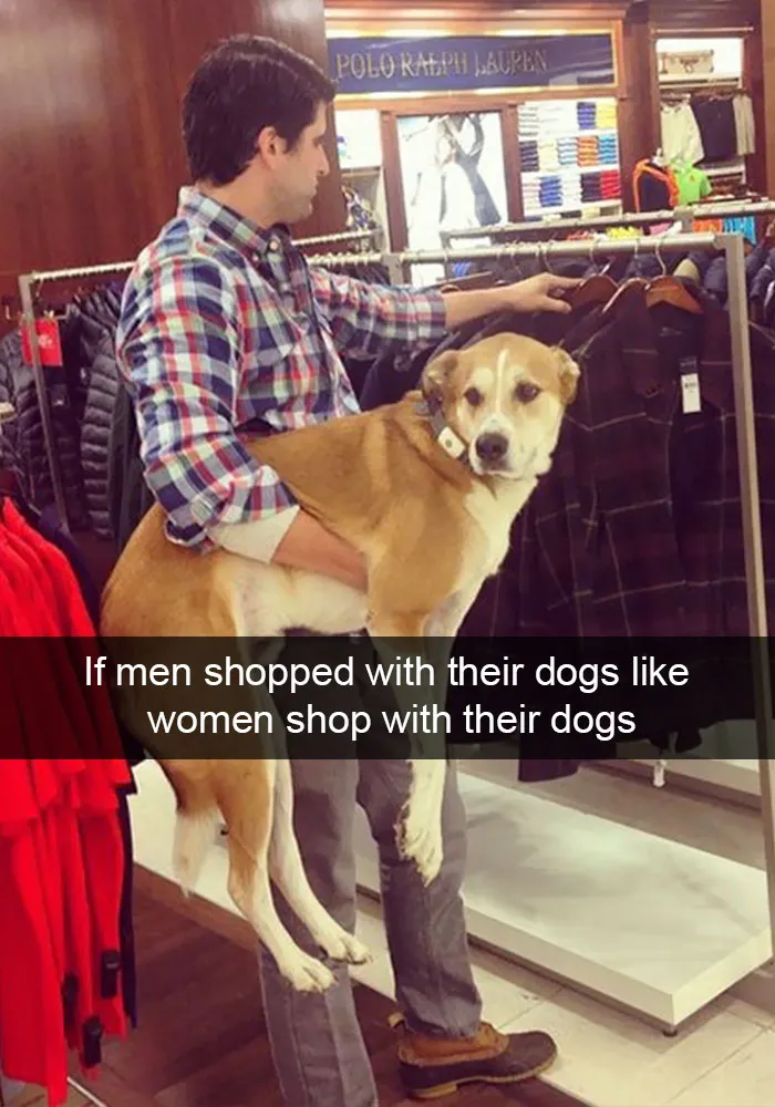 166 Hilarious Dog Snapchats That Are Impawsible Not To Laugh At (Part 2)