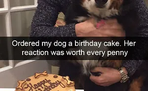 166 Hilarious Dog Snapchats That Are Impawsible Not To Laugh At (Part 2)
