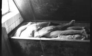 1940-1944: Corpses And Body Parts In The Morgue