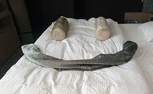 Bored Hotel Guest Starts Making "Challenges" For Housekeepers, And They Respond With These Notes