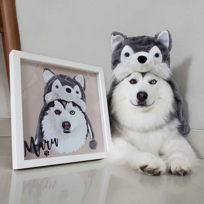 Este es Maru, el husky más feliz del mundo que es un panda en su interior