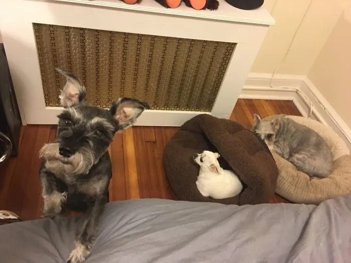 Well I Only Have Two Beds.