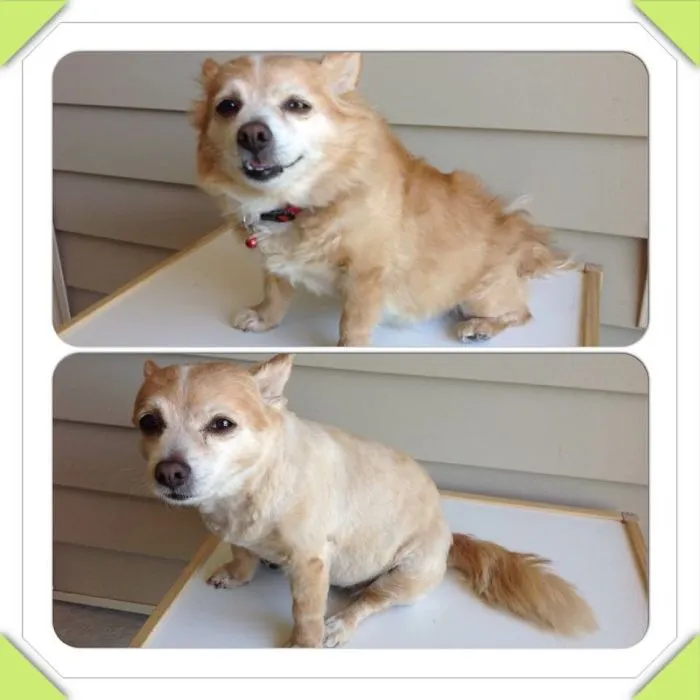 My Late Kay Bear. I Miss You So Much Bear.