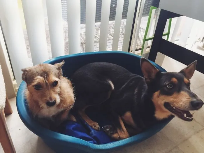 Awkward Family Photo