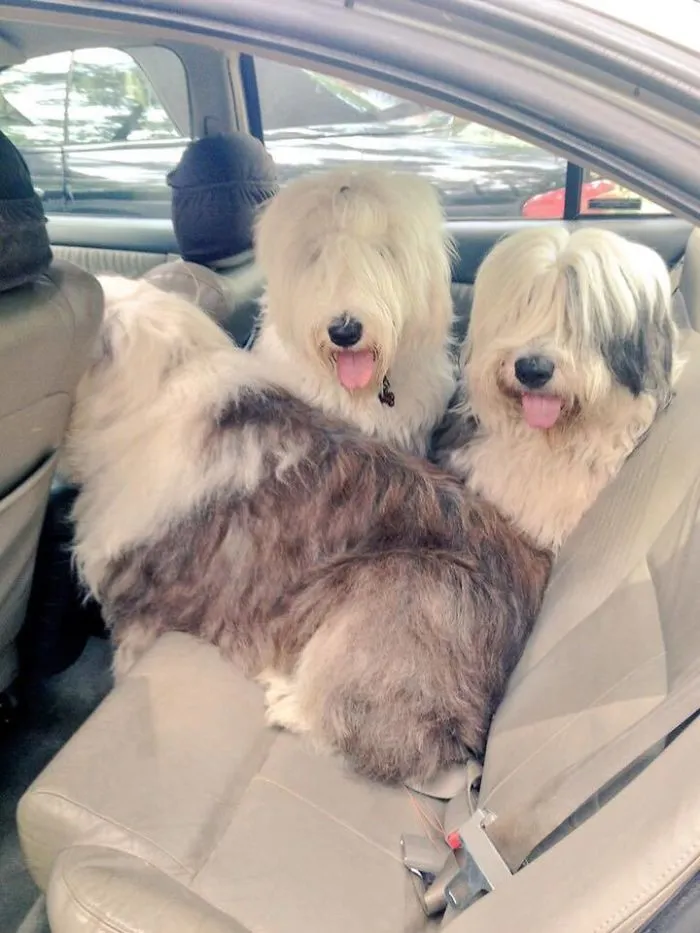 Umm, Move Over!