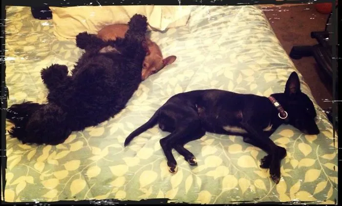 A Rare Picture Of The The 3 Of Them Together