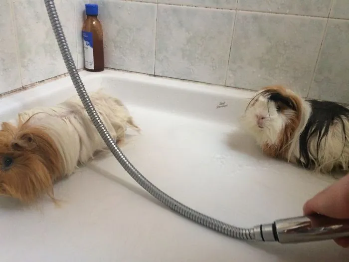 Don't Like Water