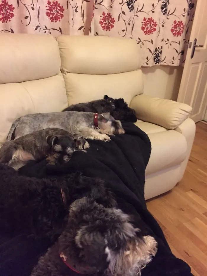 We Also Love To Be Cozy