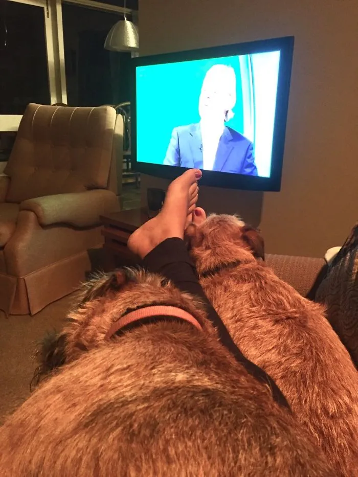 Who Needs A Blanket