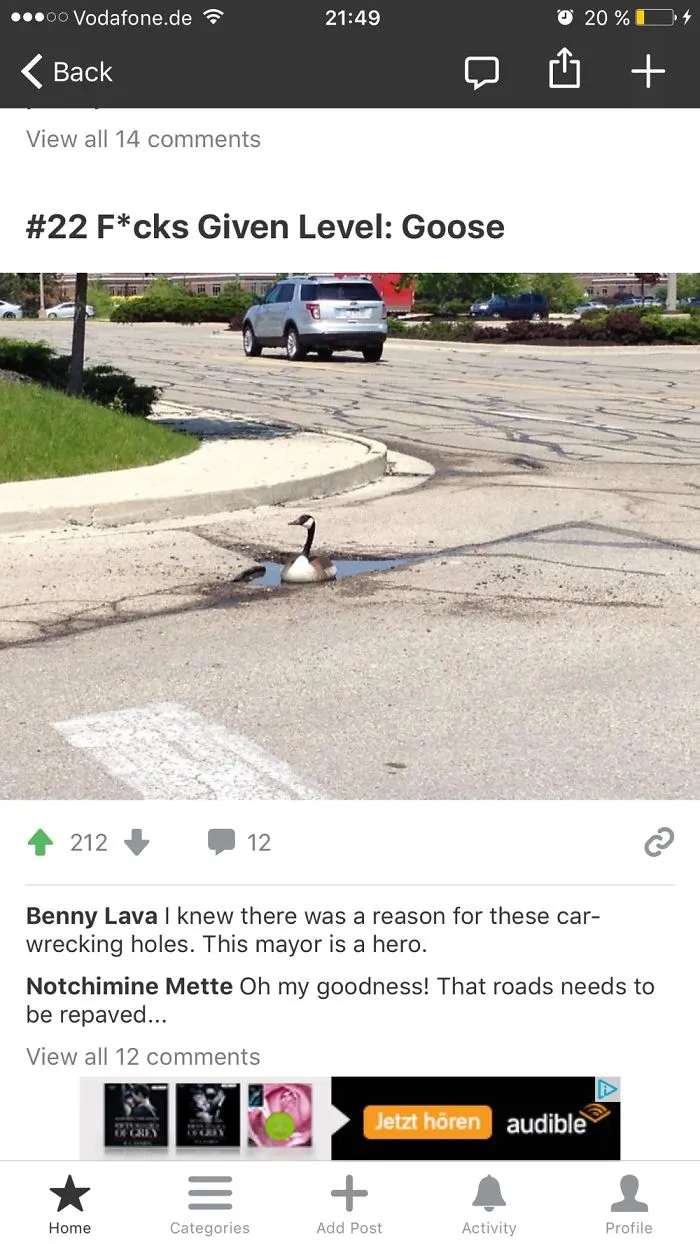 No Give A Guck This Goose