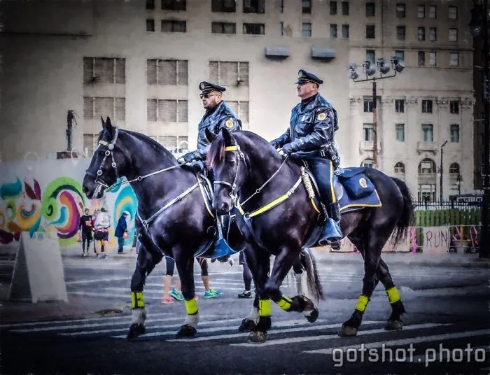 To Protect & Serve