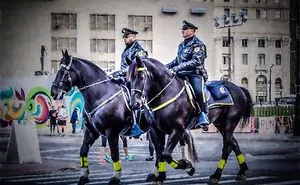 To Protect & Serve