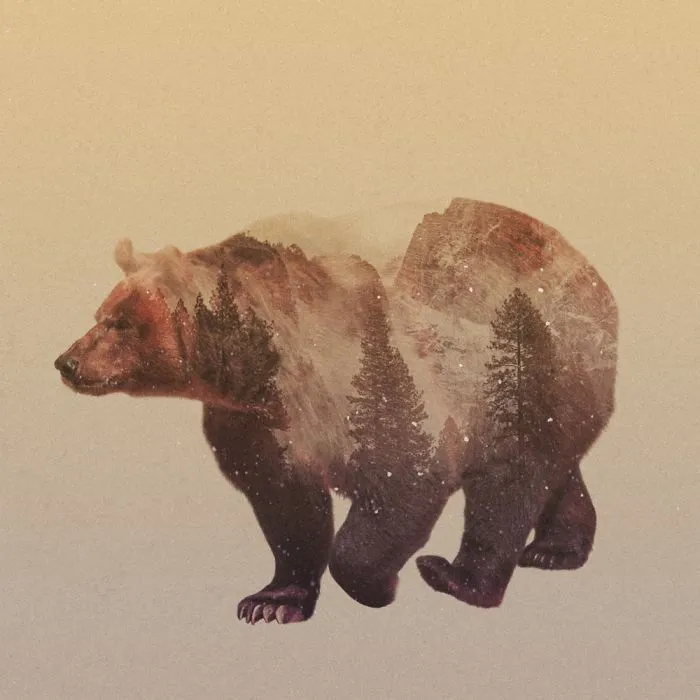 Bear Double Exposure
