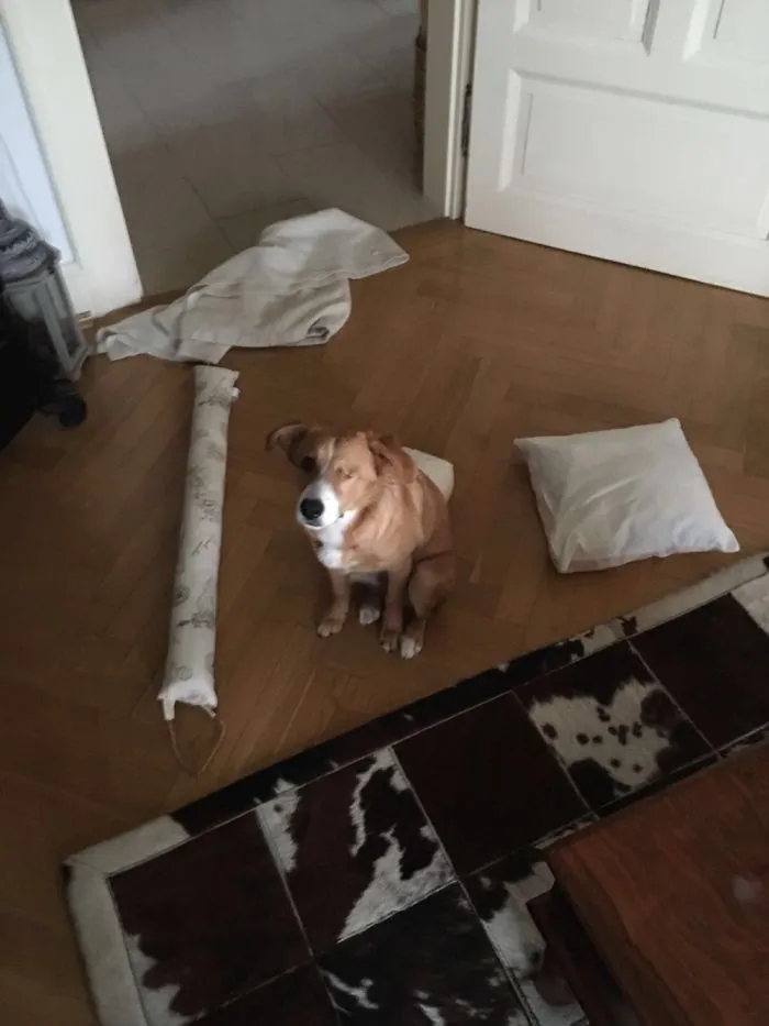 Elsa Feeling Guilty