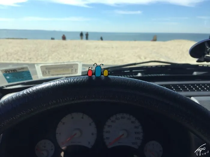 Beach Views