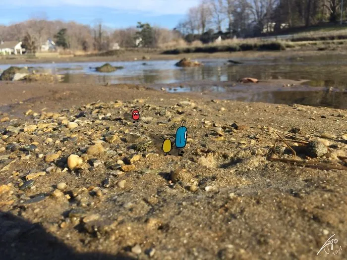 The Wetlands