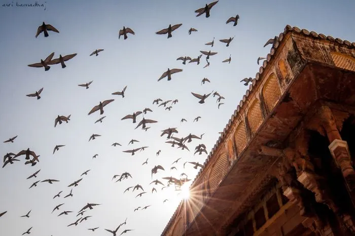 India Through My Eyes