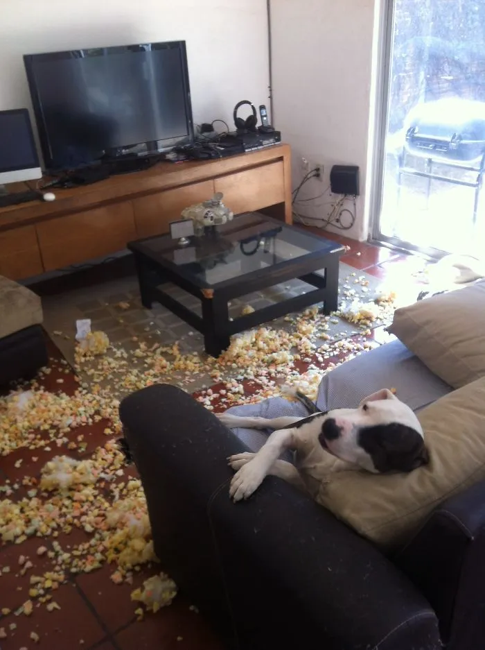 I Didn't Do It