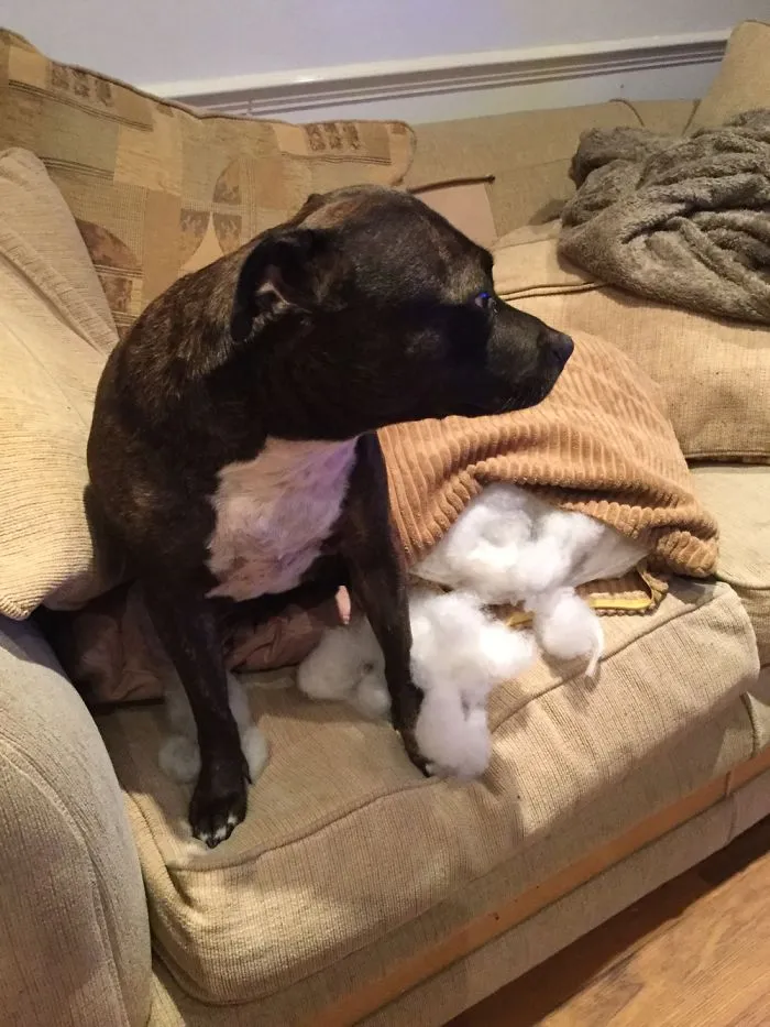 It Was Open... What Did You Expect? It's All Fluffy And Strange! I Had To Have A Look...