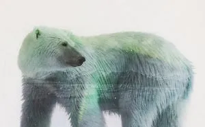 Polar Bear Double Exposure