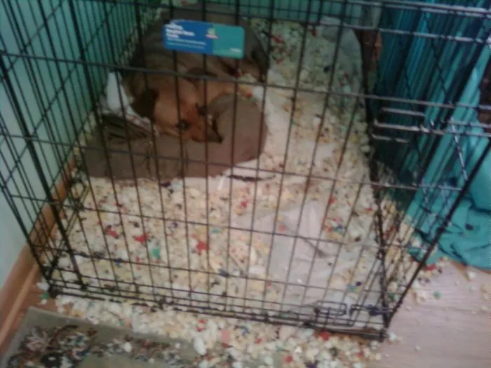 This Is What I Get For Giving Her A Bed