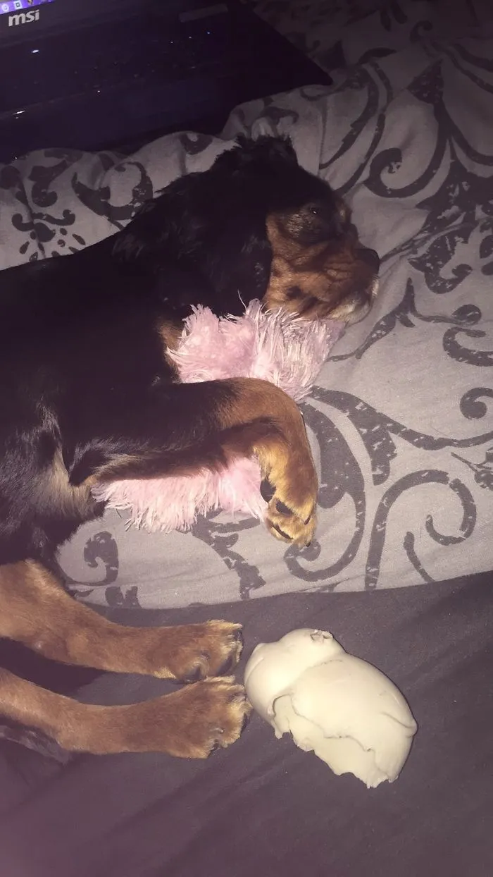 Loves Her Little Rag 😂