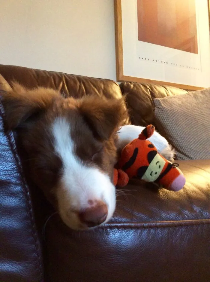 Bob And Tigger