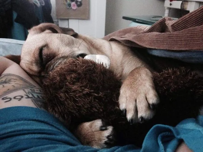Kiki Loves Her Monkey Paco