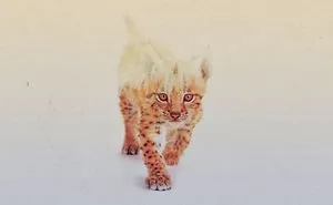 Cub Double Exposure